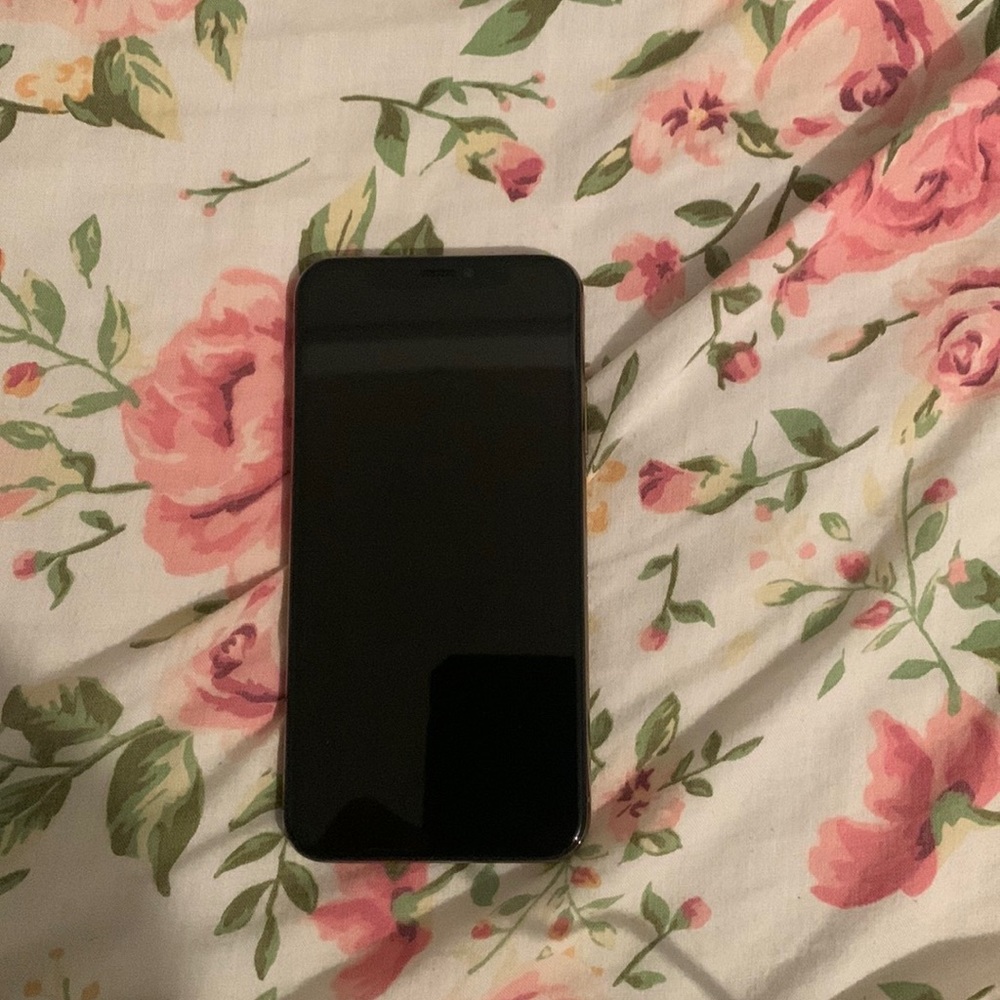 iPhone XS 256gb fully unlocked